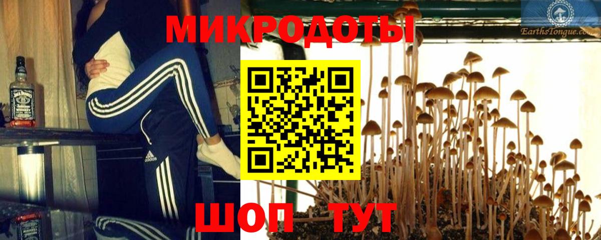 дарнет шоп  Вход с VPN  Ревда  Галлюциногенные грибы MAGIC MUSHROOMS 