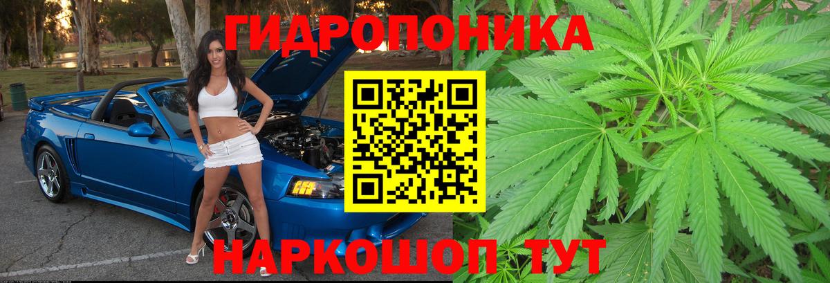Канабис Bruce Banner Ревда
